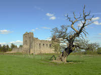 Torwood Castle Torwood Castle